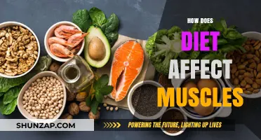 Fuel Your Fitness: Understanding the Impact of Diet on Muscle Health