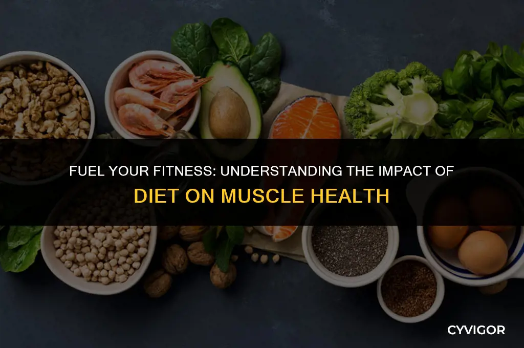 how does diet affect muscles