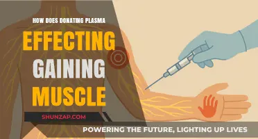 Donating Plasma: Impact on Muscle Gain and Recovery Explained