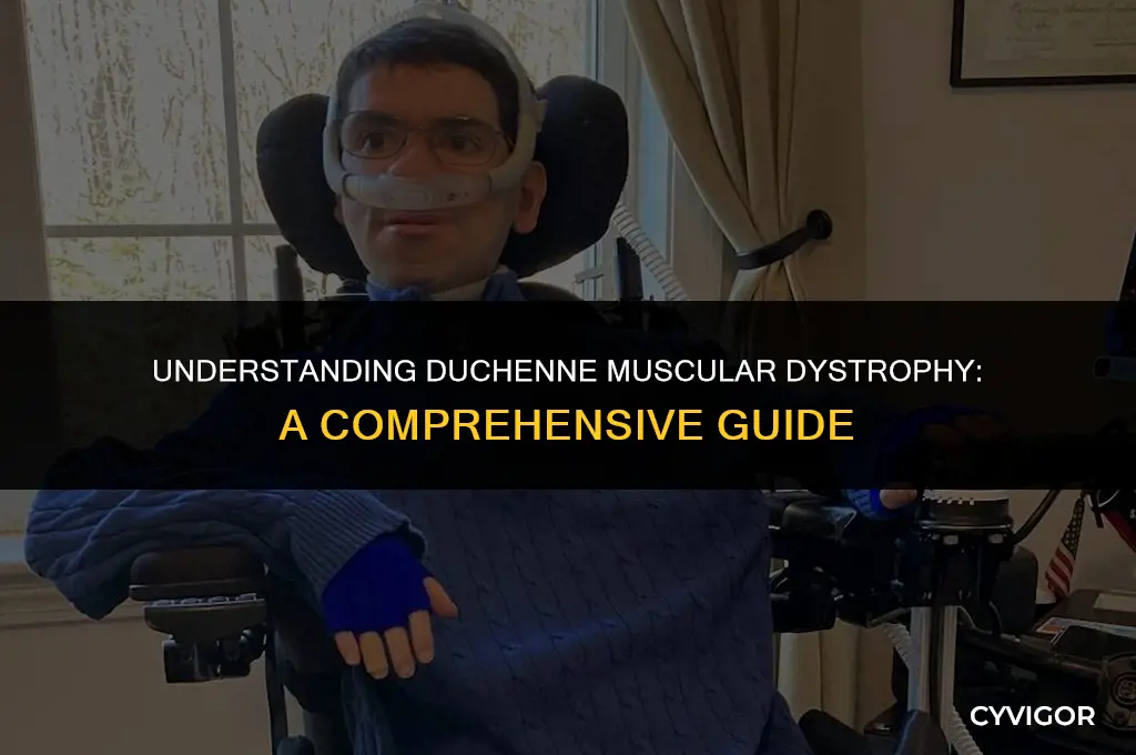 how does duchenne muscular dystrophy affect the muscles