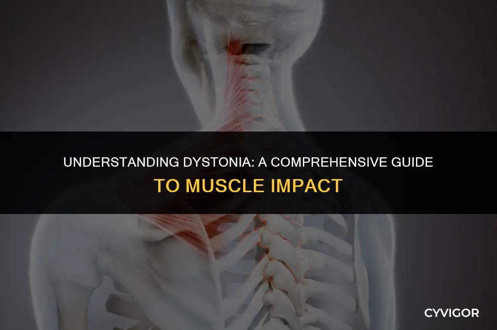 how does dystonia affect muscles