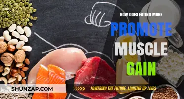 Fuel Your Muscles: How Eating More Drives Effective Muscle Gain