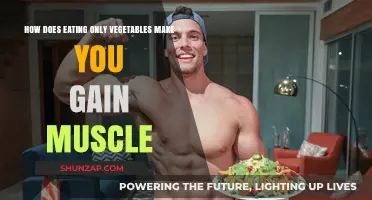 Can a Vegetable-Only Diet Build Muscle? Unlocking Plant-Based Gains
