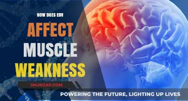 Understanding EBV's Impact on Muscle Weakness: A Comprehensive Guide