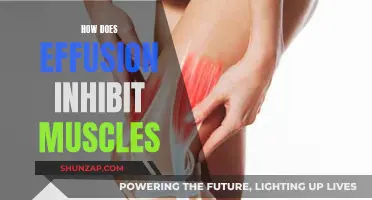 Effusion's Impact: Muscle Inhibition and Management