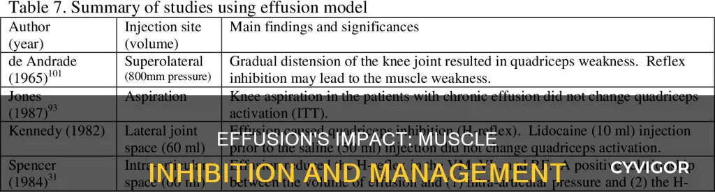 how does effusion inhibit muscles
