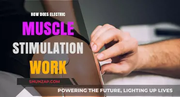 Understanding Electric Muscle Stimulation: How It Works and Benefits