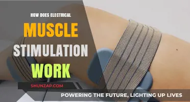 Understanding Electrical Muscle Stimulation: How It Works and Benefits