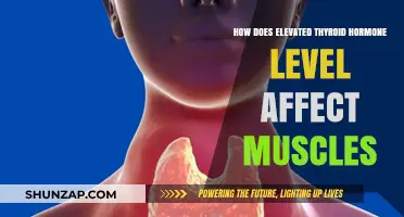 Thyroid Hormone's Impact on Muscle Health: A Comprehensive Guide