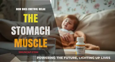 Emetrol's Mechanism: How It Relaxes Stomach Muscles for Nausea Relief