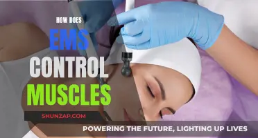 Understanding EMS: Stimulating Muscle Control