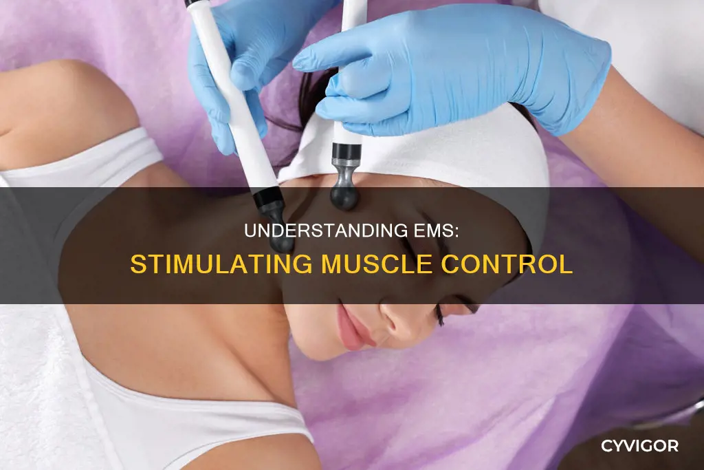 how does ems control muscles