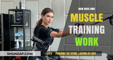 Understanding EMS Muscle Training: How It Works and Benefits