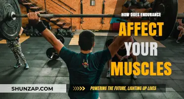 Unleashing Strength: The Impact of Endurance on Muscle Performance
