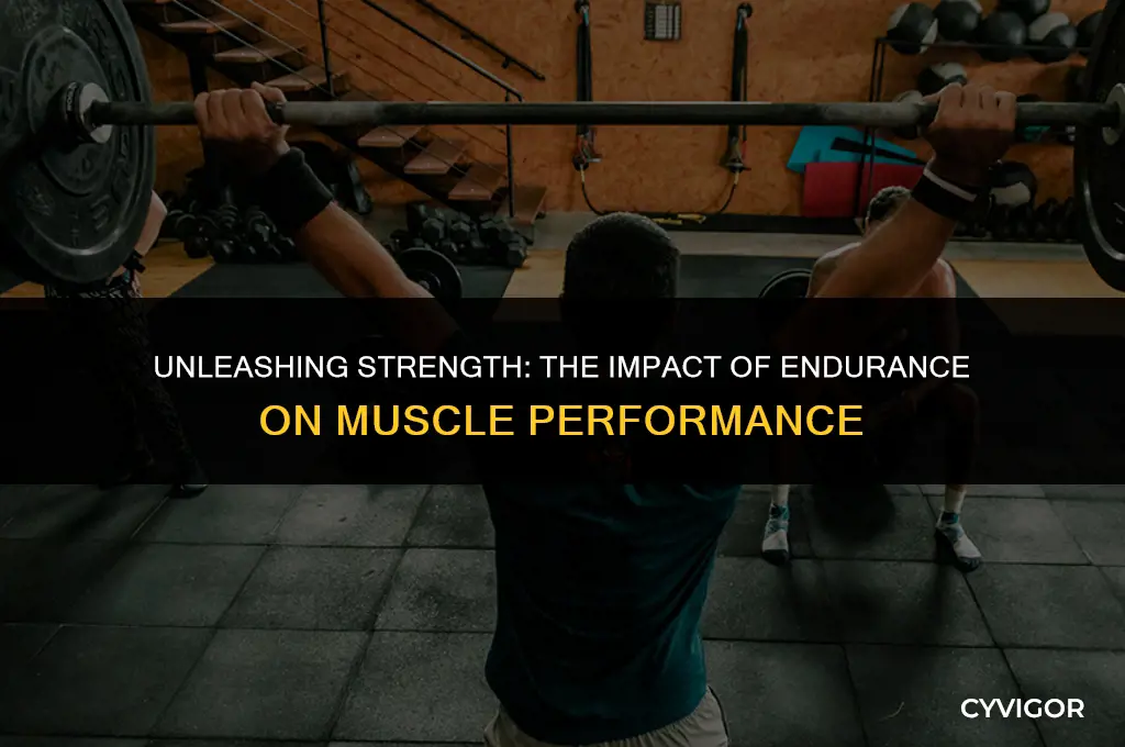 how does endurance affect your muscles