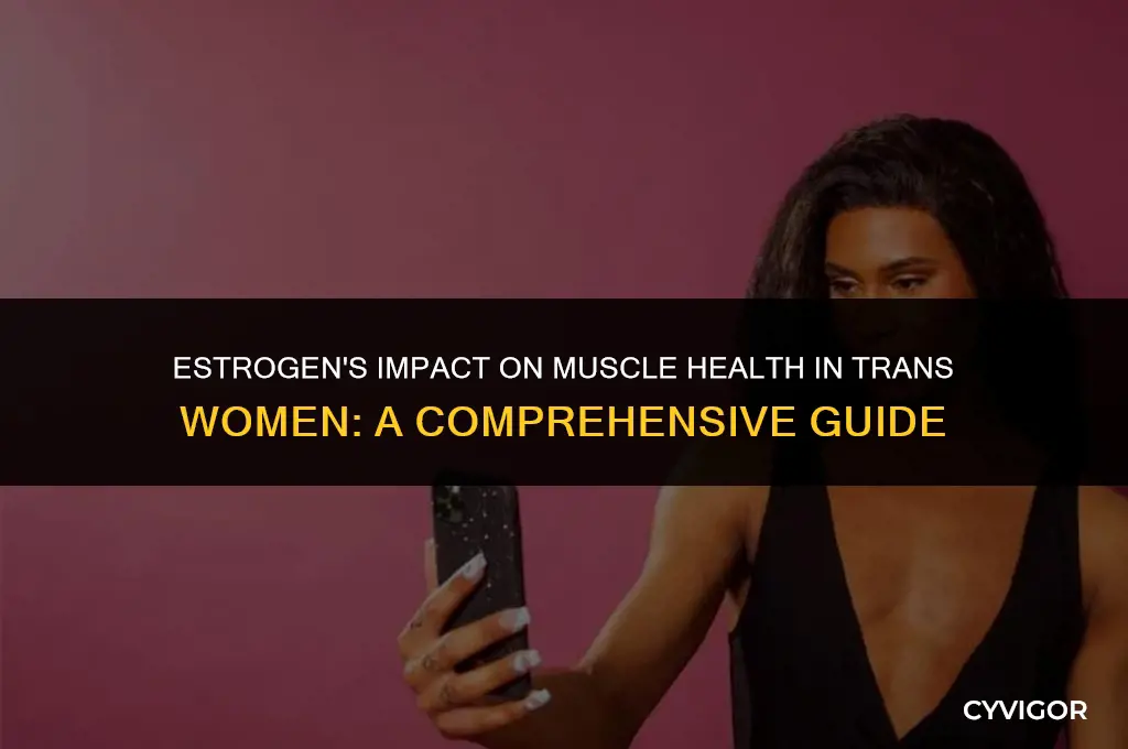 how does estrogen affect muscles trans women