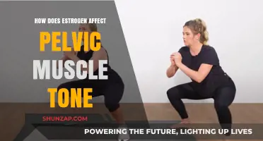 Estrogen's Impact on Pelvic Muscle Tone: A Comprehensive Guide