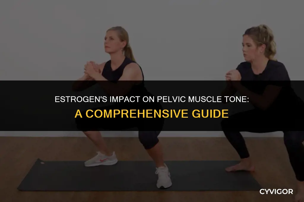 how does estrogen affect pelvic muscle tone