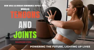Estrogen Dominance: Impact on Muscles, Tendons, and Joints