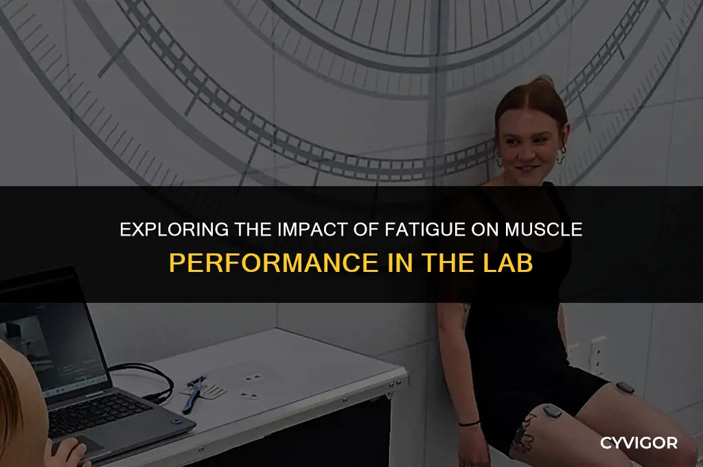 how does fatigue affect muscle performance lab