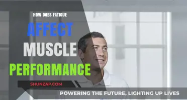 Exploring the Impact of Fatigue on Muscle Performance: A Comprehensive Guide