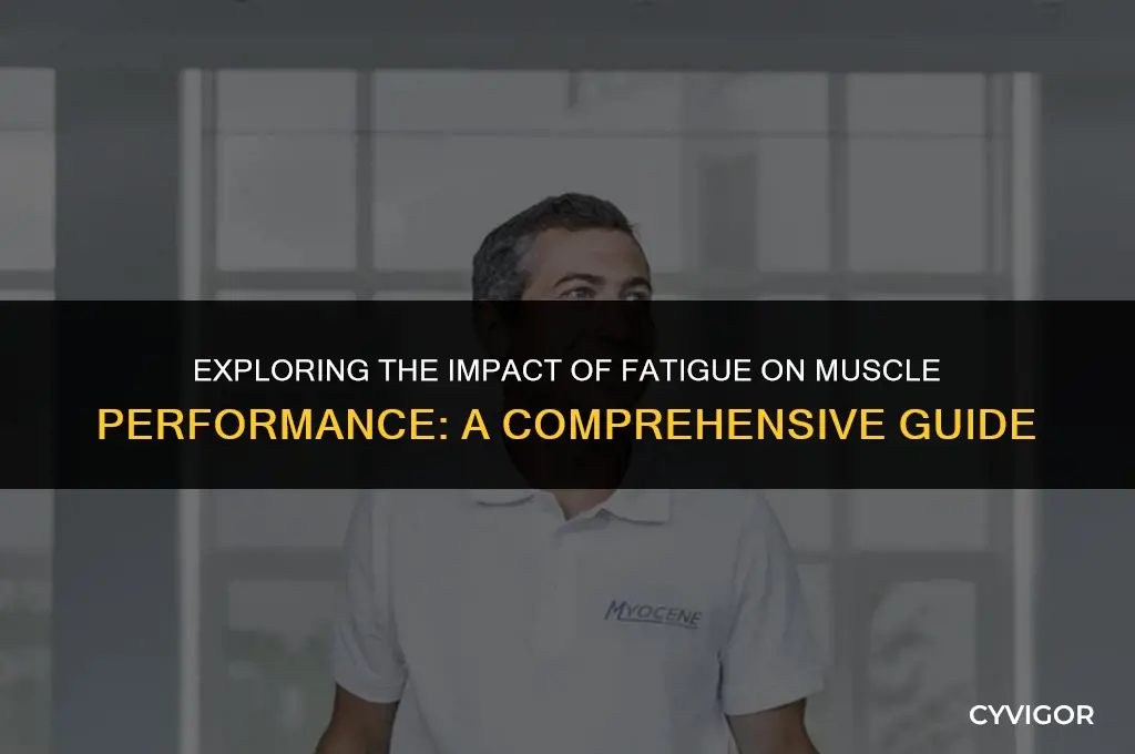 how does fatigue affect muscle performance