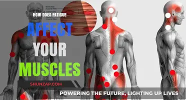 Understanding Muscle Fatigue: Causes, Effects, and Recovery Strategies