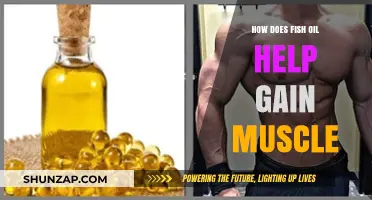 Fish Oil Benefits: Boosting Muscle Growth and Recovery Naturally