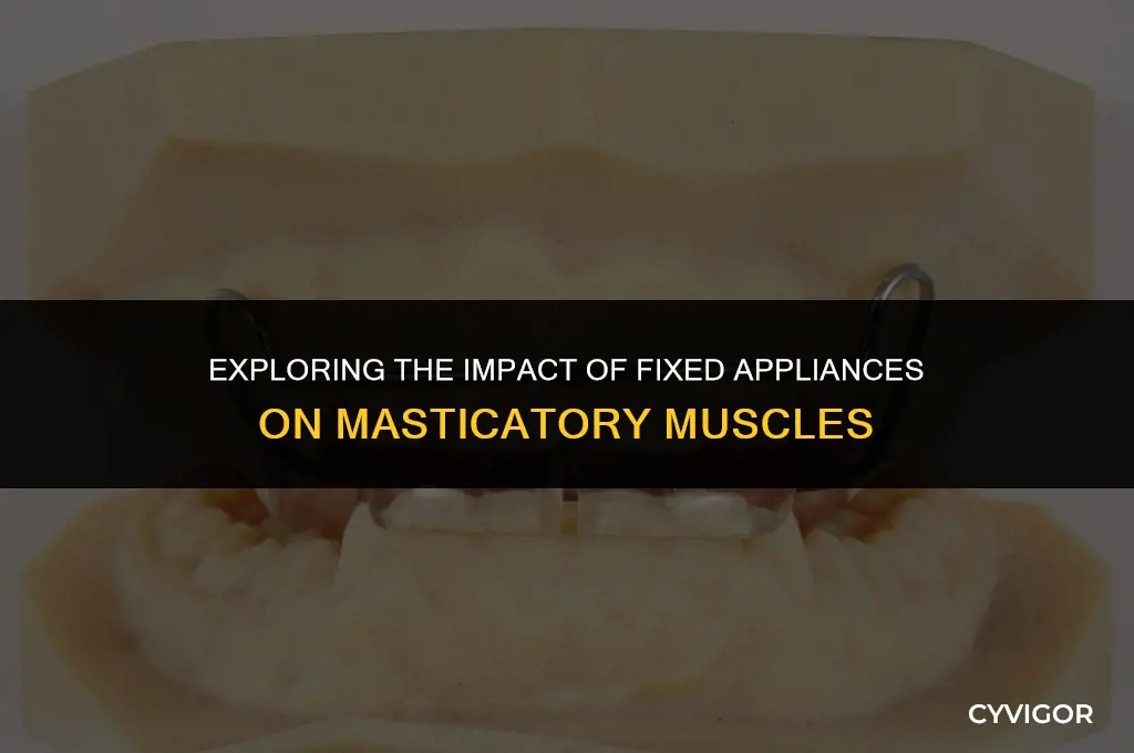 how does fixed appliances affect muscles of mastication