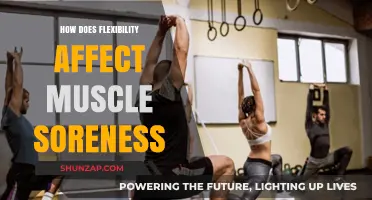 Flexibility's Impact on Muscle Soreness: A Comprehensive Guide