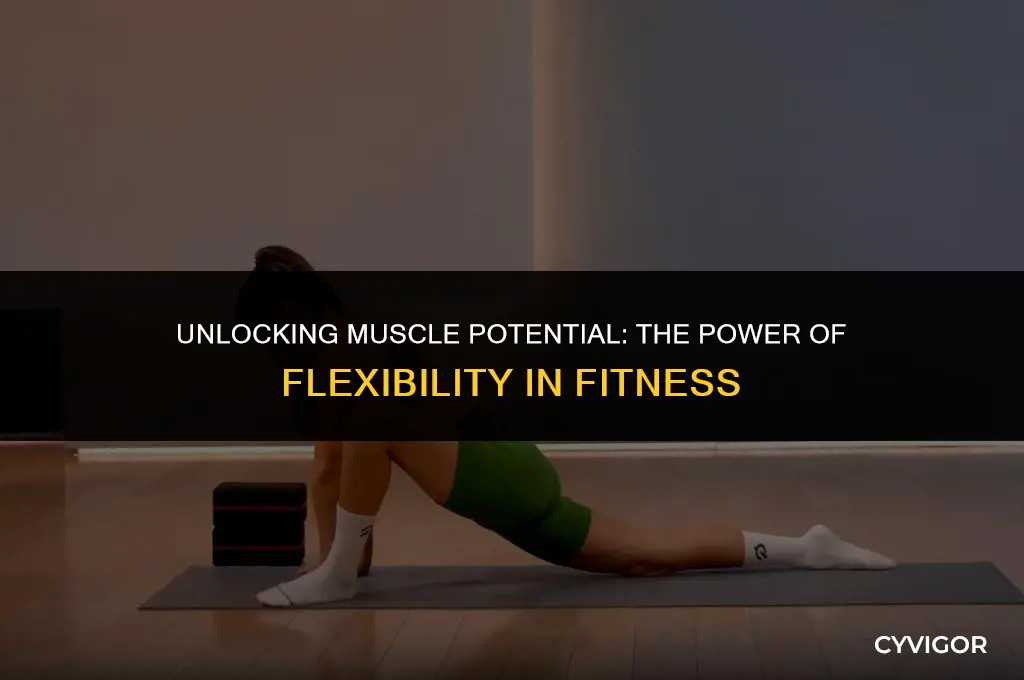 how does flexibility affect your muscles