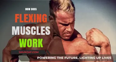 Understanding Muscle Flexing: Mechanics, Benefits, and How It Works