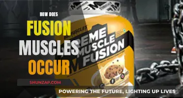 Fusion Muscles: How Do They Occur and What Are They?