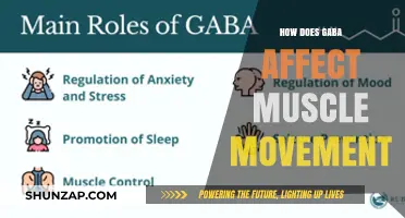 Unveiling GABA's Role in Muscle Movement: A Comprehensive Guide