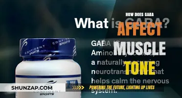 Exploring GABA's Impact on Muscle Tone: A Comprehensive Guide