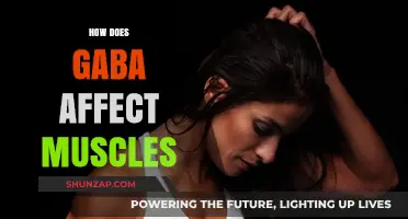 Unveiling GABA's Role: How This Neurotransmitter Impacts Muscle Function
