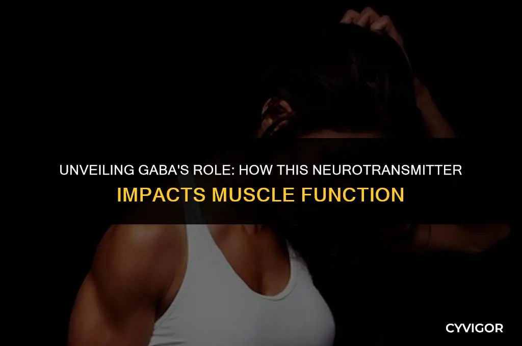 how does gaba affect muscles