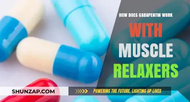 Gabapentin and Muscle Relaxers: Understanding Their Combined Mechanism