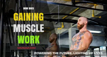 Understanding Muscle Growth: Mechanisms, Training, and Nutrition Essentials