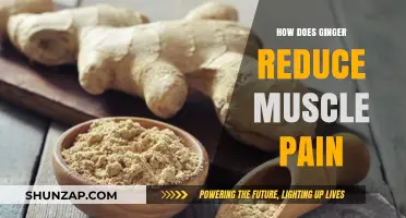 Ginger's Natural Power: Easing Muscle Pain and Speeding Recovery