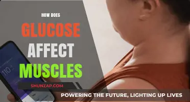 Unveiling the Impact of Glucose on Muscle Function and Performance