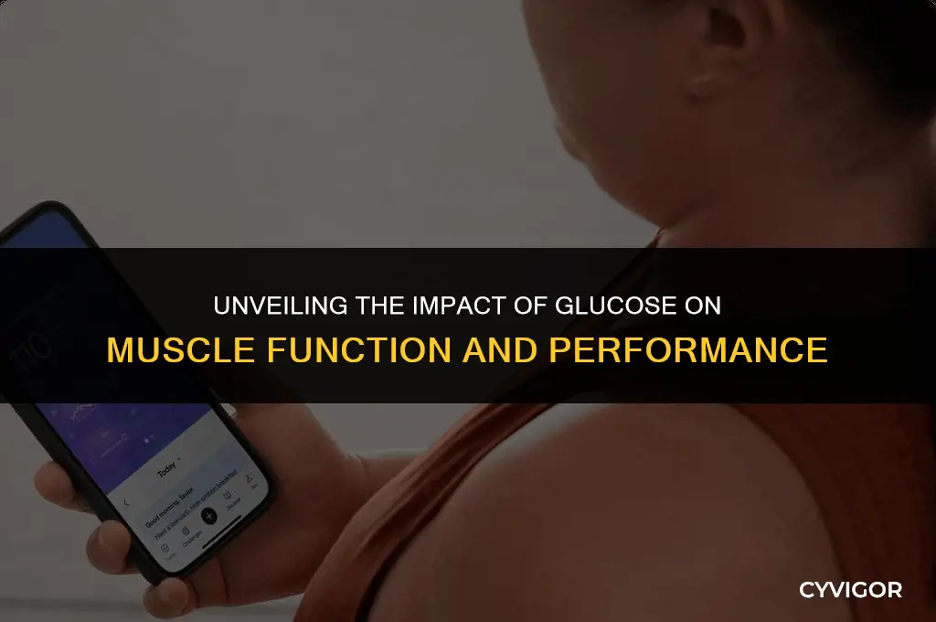 how does glucose affect muscles