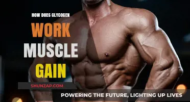 Glycogen's Role in Muscle Gain: Fueling Growth and Recovery