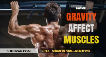 Unveiling the Cosmic Tug: Gravity's Impact on Muscle Physiology