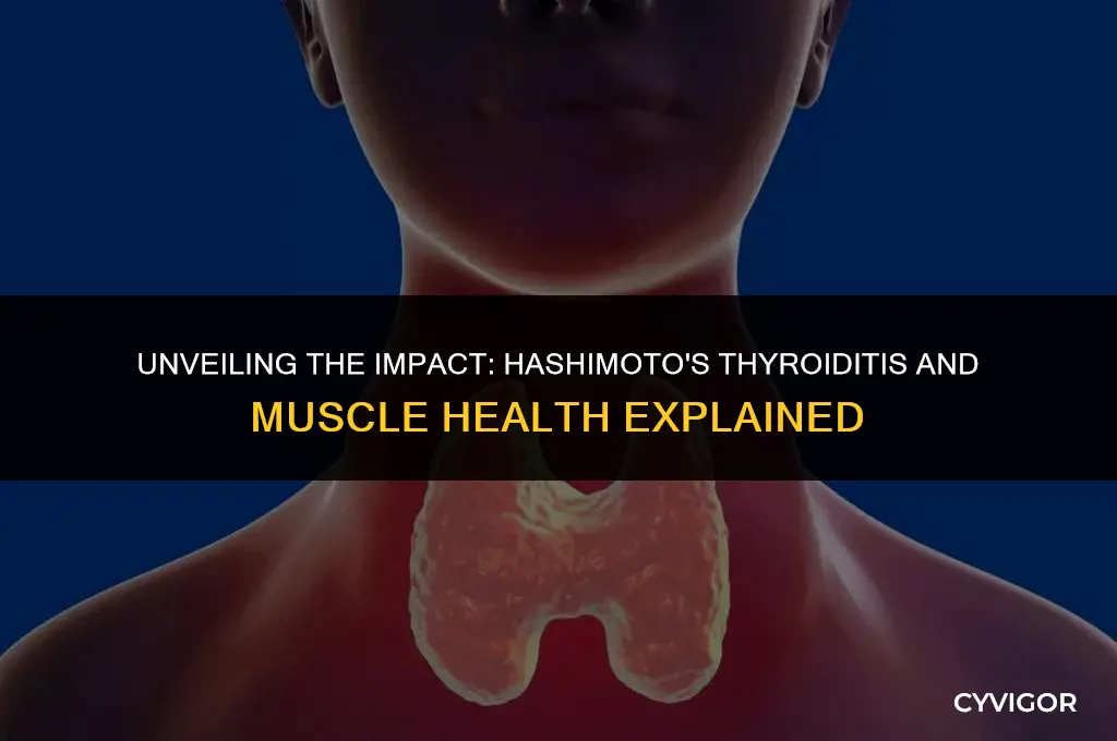 how does hashimoto