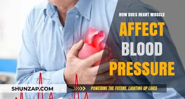 The Impact of Heart Muscle Strength on Blood Pressure Regulation