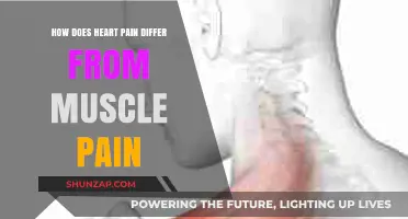 Heart Pain vs. Muscle Pain: Key Differences and Symptoms Explained