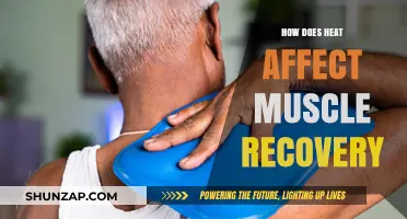 Unveiling the Impact of Heat on Muscle Recovery: A Comprehensive Guide