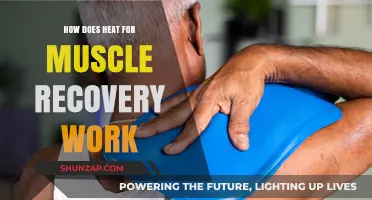 Heat Therapy for Muscle Recovery: Benefits, Techniques, and Science Explained