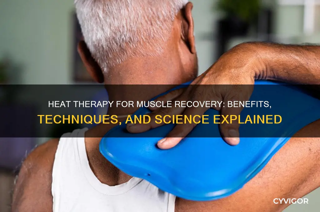 how does heat for muscle recovery work